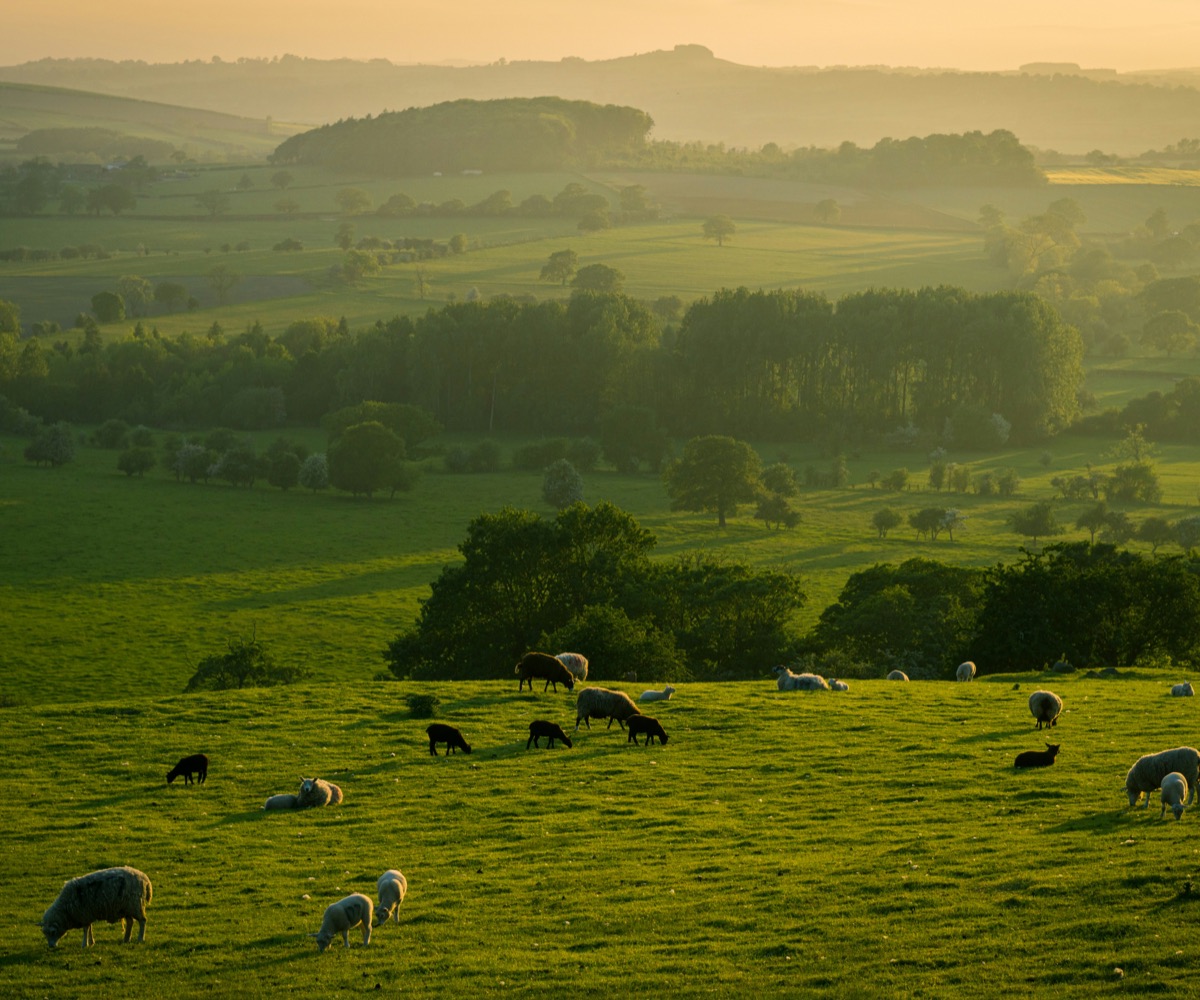 Country Home